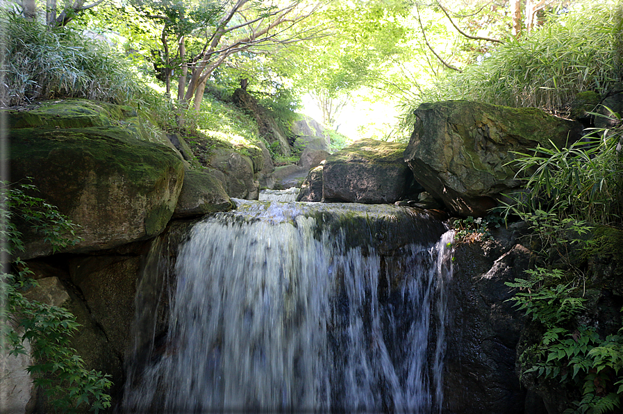 foto Giardini Trauttmansdorff - Boschi del Mondo